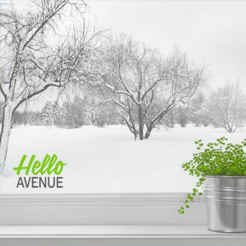 Dry Conditions this Winter- Time to Water - Hello Avenue