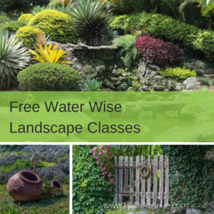 Free Water Wise Landscape classes - Hello Avenue 2018