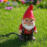 Colorado Springs water-wise rules for landscaping.